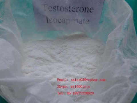 Testosterone Isocaproate 15262-86-9 Sh-Ts006